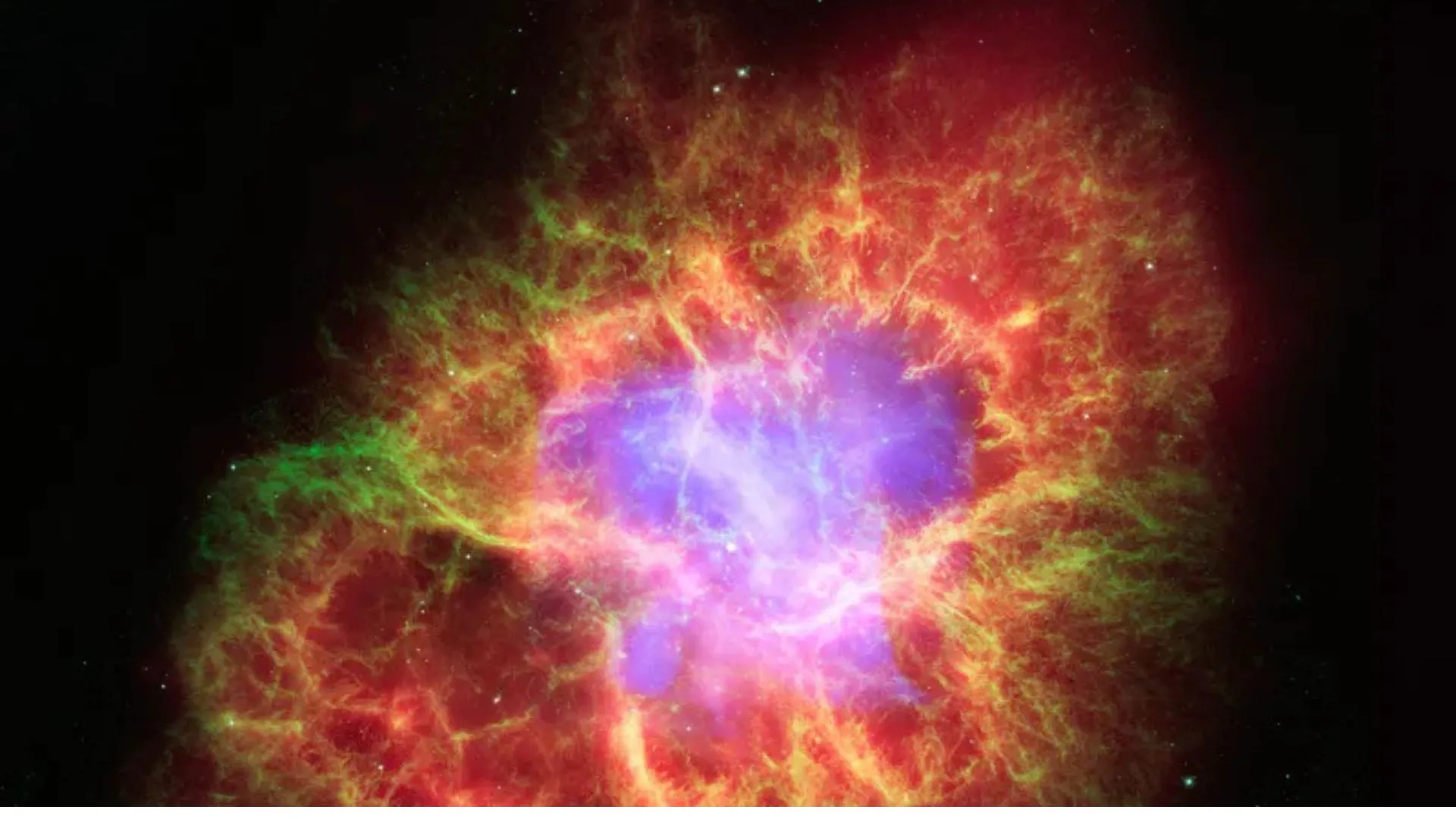 ‘Surrogate’ framework to hunt for exotic matter within neutron stars