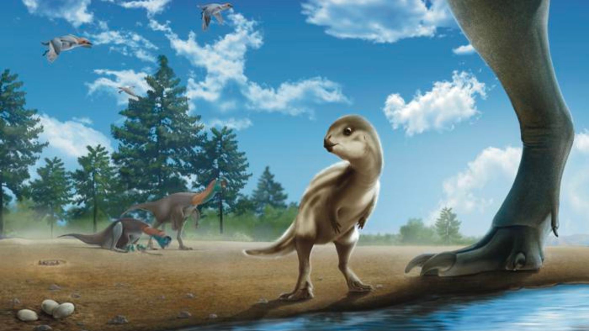 113 million-year-old fossil analysis reveals new dinosaur species