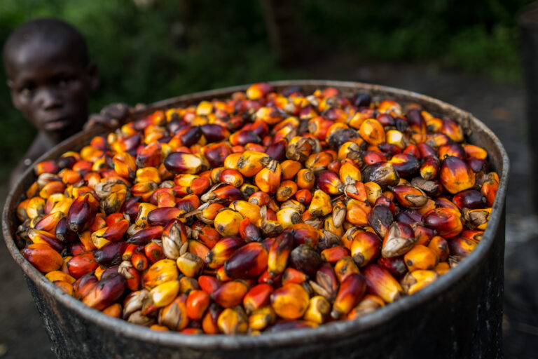 Rights violations prompt world’s largest sovereign wealth fund to divest from Bolloré