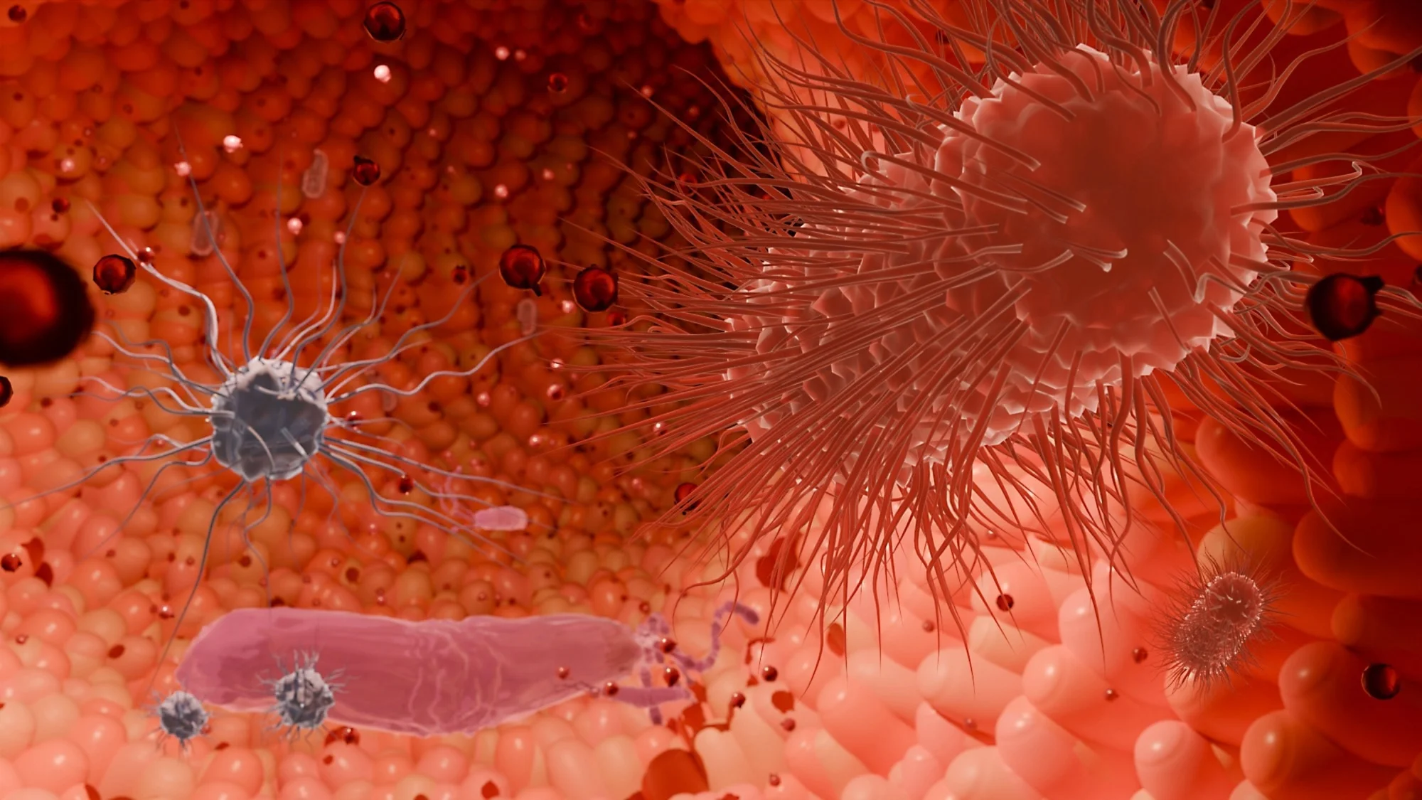 Why do some people respond better to GLP-1 drugs? Gut microbiome may hold clues