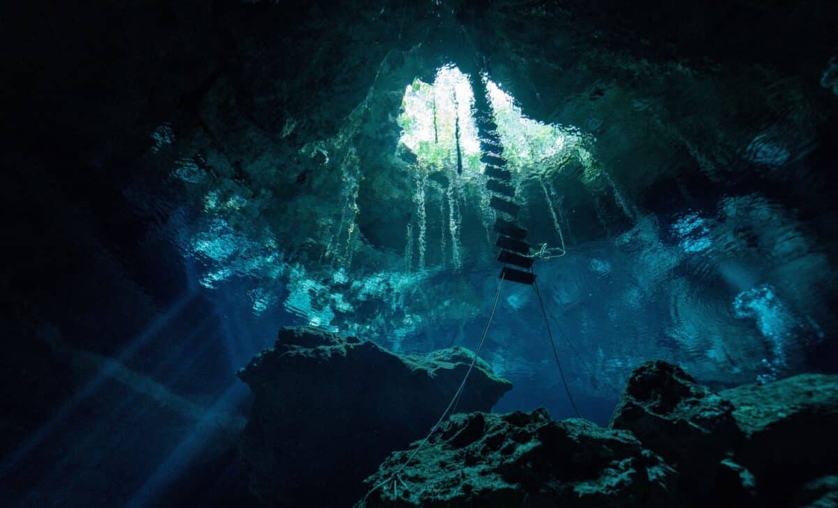 In an Underwater Cave, Divers Just Found the Largest Collection of Monkey Fossils No One Fully Understood Until Now