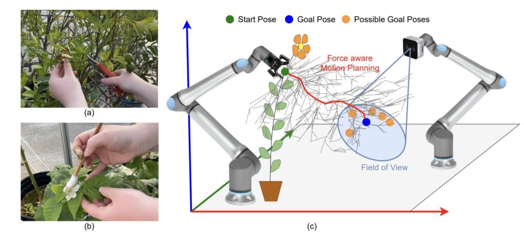 A multi-armed robot for assisting with agricultural tasks