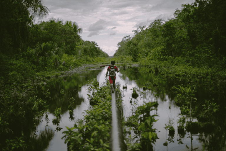 How foreign investor lawsuits stymie environmental protection