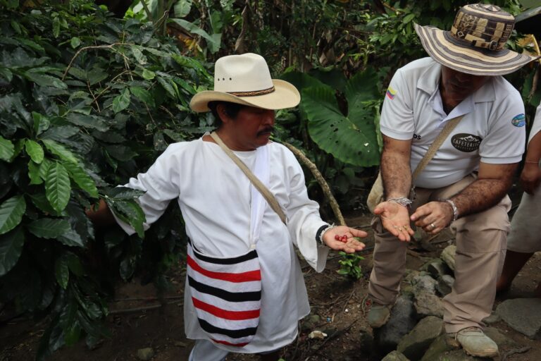 Colombia’s coffee industry well placed but wary as EU deforestation rule looms