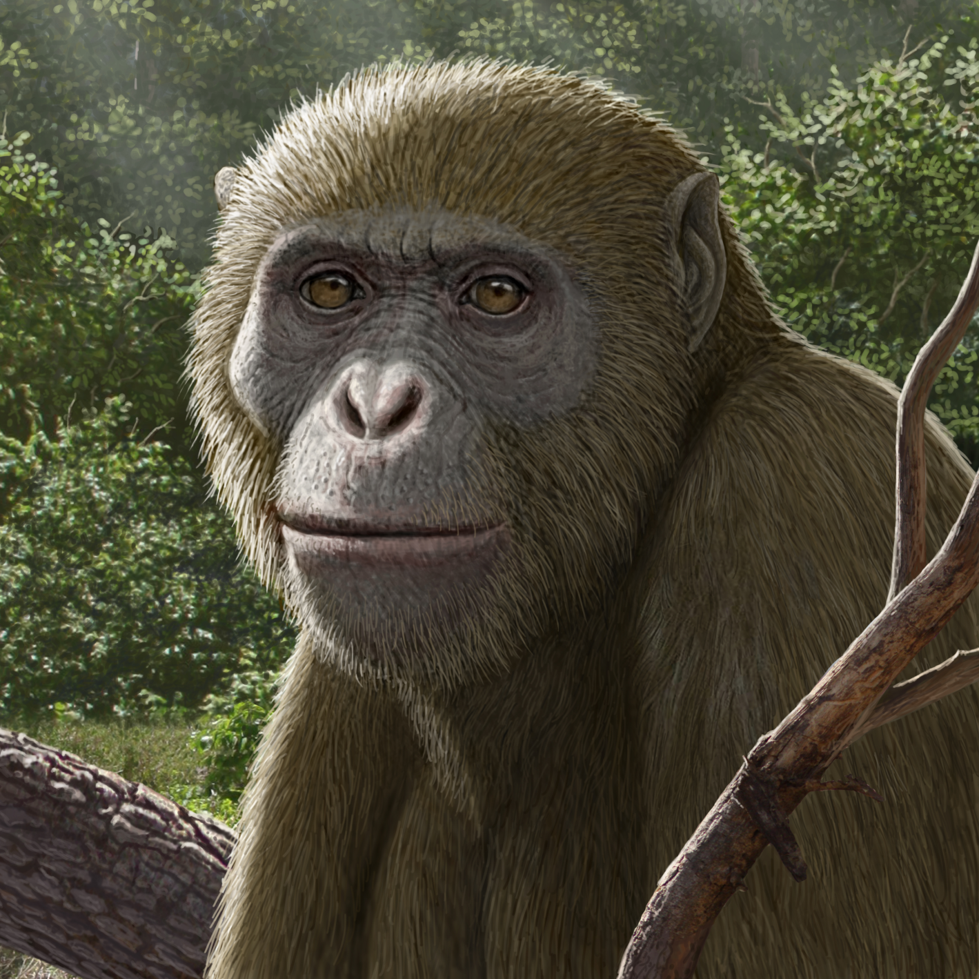 18 million-year-old fossils of ape found in Africa, but in an unexpected place