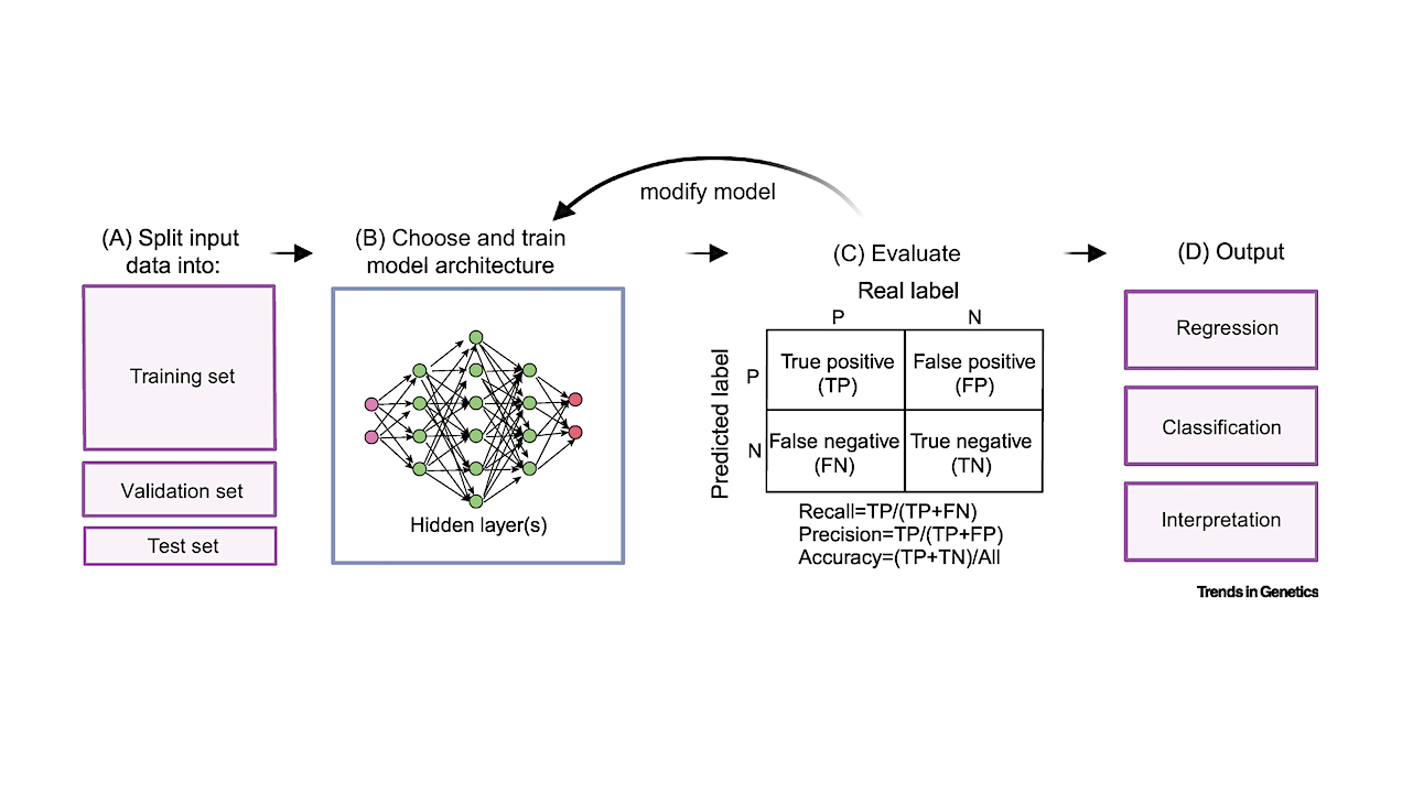Machine Learning For Evolutionary Genetics And Molecular Evolution