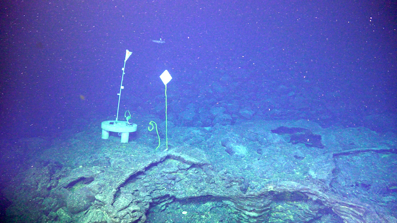 Methanothermococcus jasoni sp. nov., A Novel Thermophilic Methanogen From Subseafloor Hydrothermal Vent Fluids Of Axial Seamount, Juan de Fuca Ridge