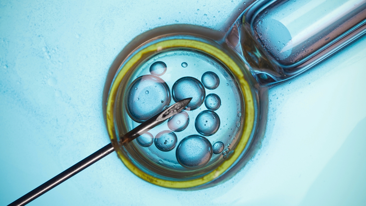 Major Study Finds IVF Not Linked to Cancer Risk, But There’s a Catch : ScienceAlert