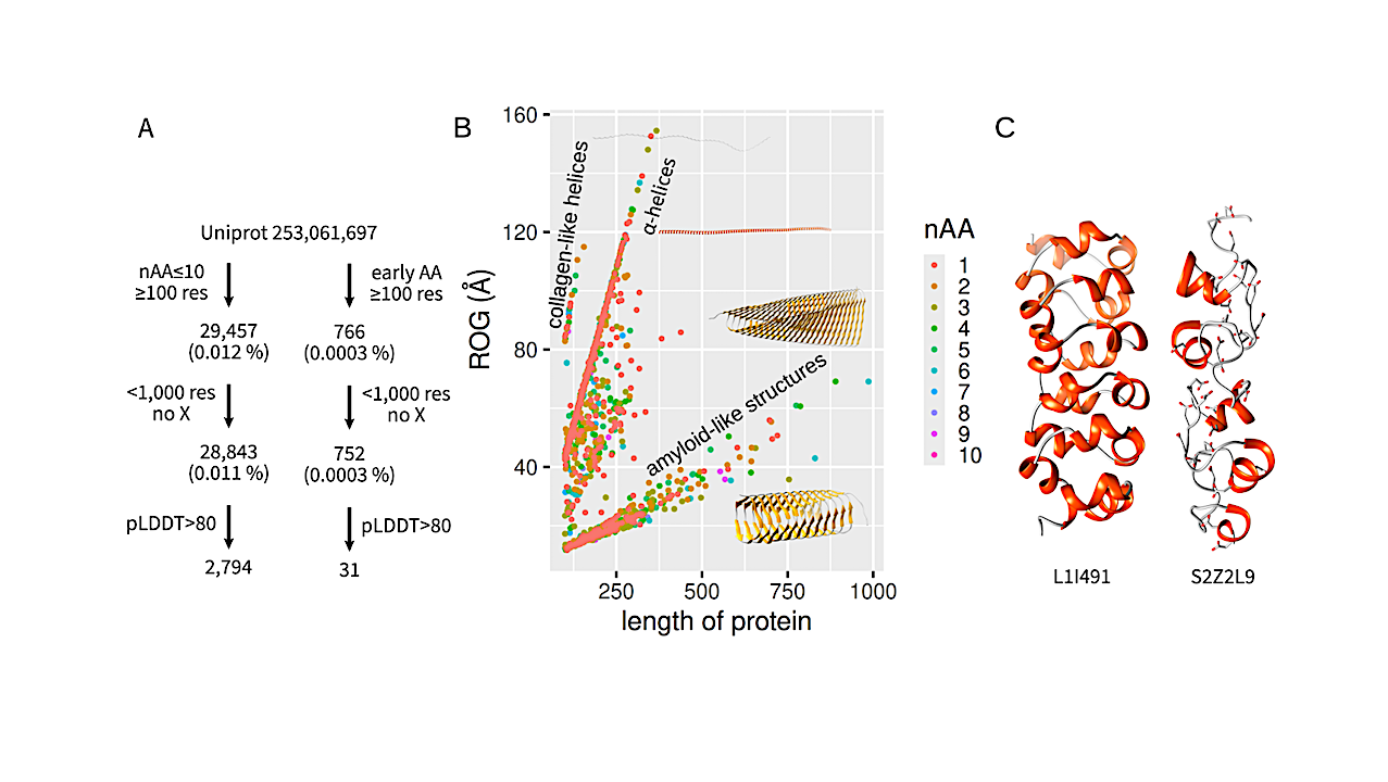 Minimal Amino Acid Alphabet for Protein Design
