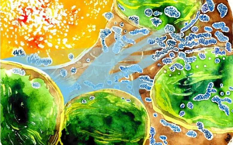 Scientists Just Found a Hidden Oxygen Drain Inside Plant Cells