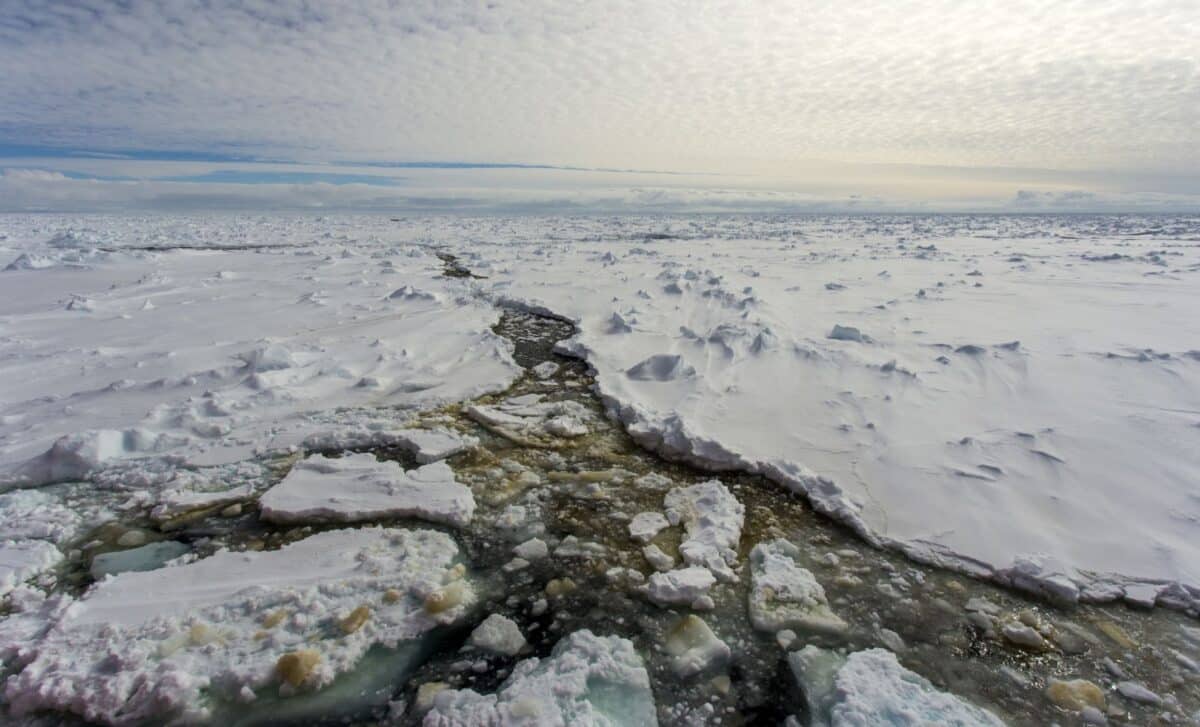 NASA’s ANITA Experiment Picked Up Strange Signals Beneath Antarctic Ice That Traveled Through Thousands of Kilometers of Rock
