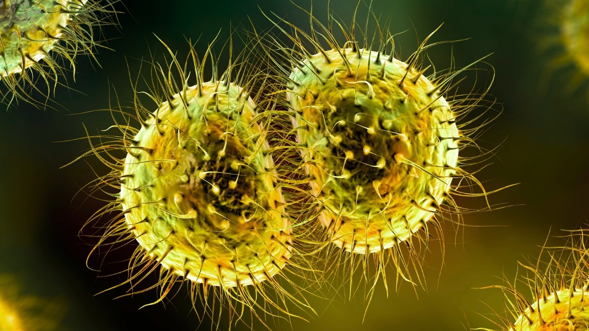 Meningitis Outbreak Exposes UK’s Decade-Long Gap in Protection : ScienceAlert