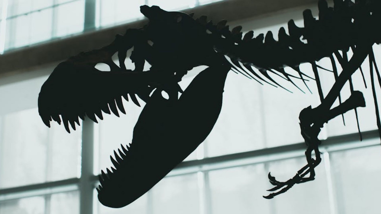 New dinosaur species discovered in South Korea for the first time in 15 years