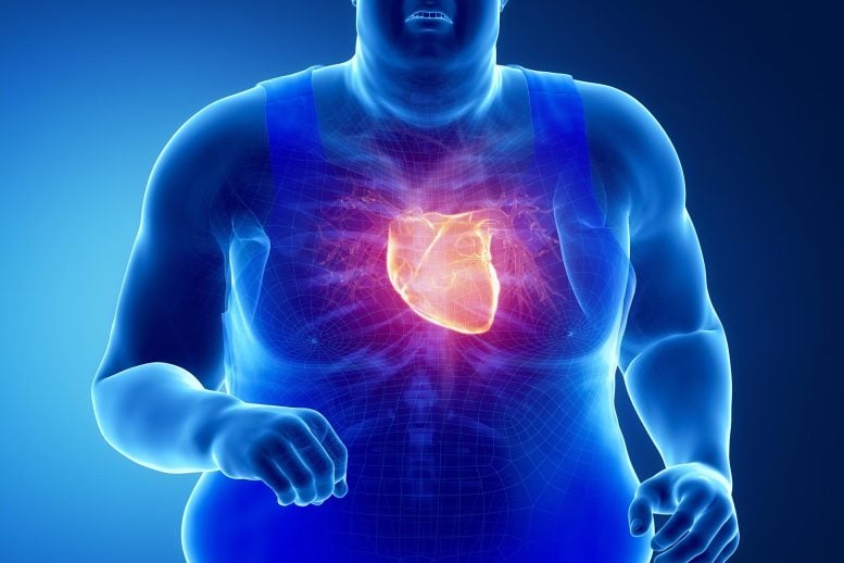 Weight Loss Drugs Like Ozempic and Wegovy Show Surprising Heart Health Benefits