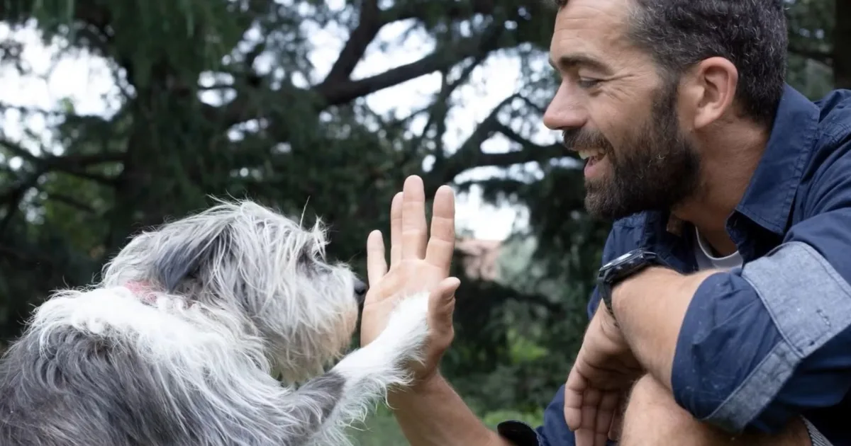 In a sea of slop and risks, AI is helping distraught humans find their lost pets