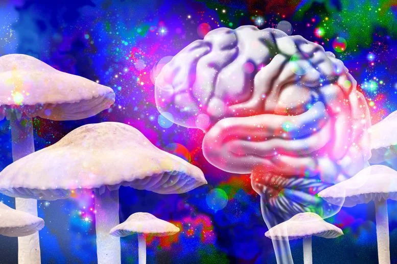 The Brain Benefits of Magic Mushrooms Without the Psychedelic Trip