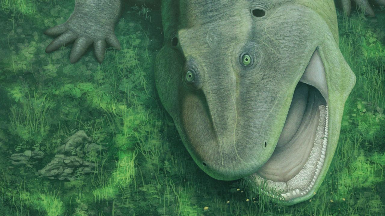Prehistoric water-dwelling weirdo with sideways teeth and a twisted jaw was already a ‘living fossil’ 275 million years ago