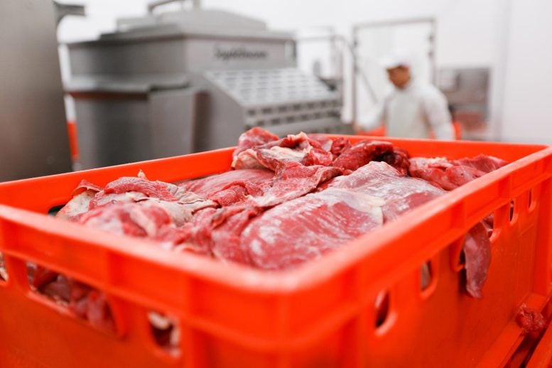 Nearly Half of Americans Don’t Know This Popular Food Increases Colon Cancer Risk