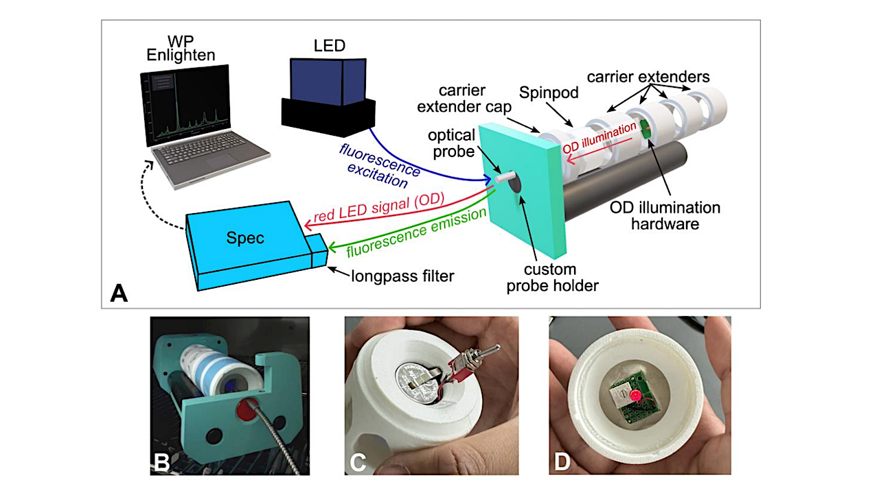 Real-time, In Situ Fluorescence And Optical Density Measurements Of Liquid Cultures In Simulated Microgravity