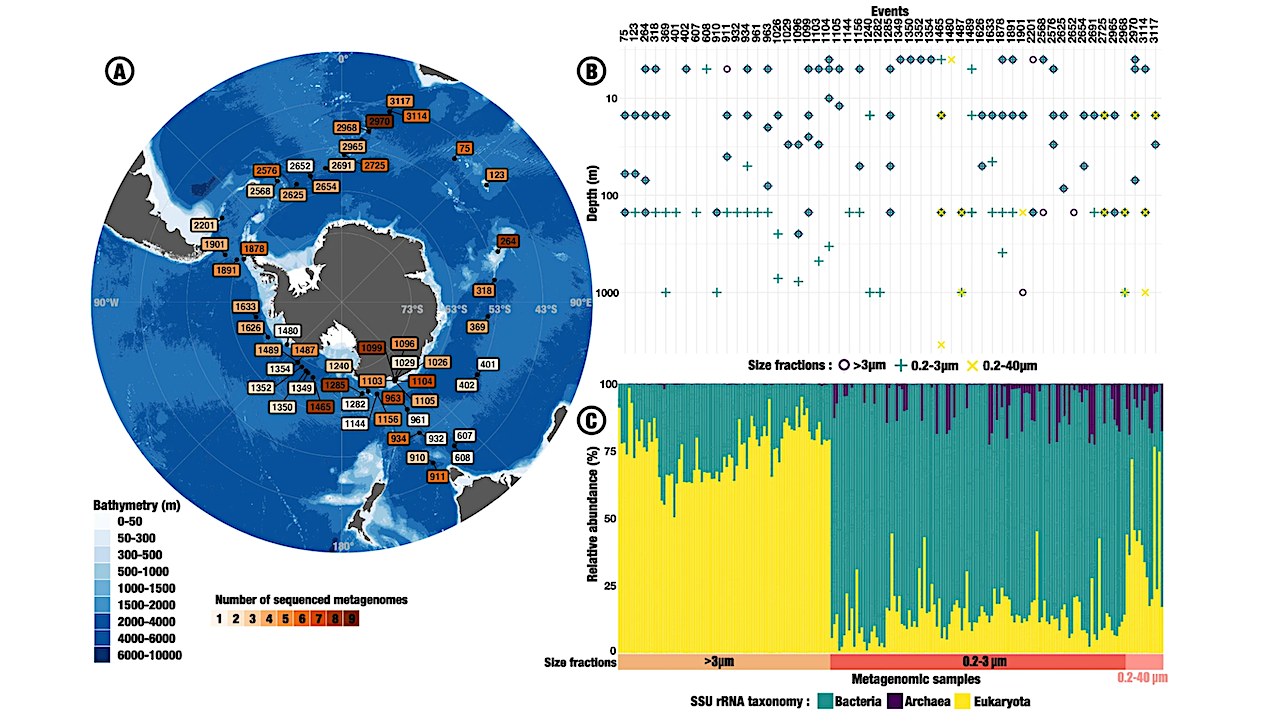 Researchers Uncover Hidden Genetic World in Antarctic Waters