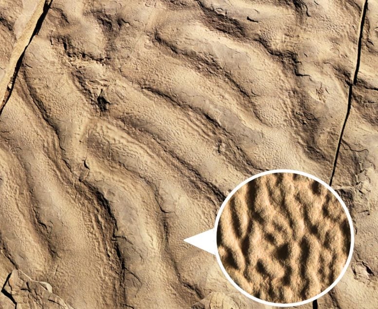 “These Wrinkles Shouldn’t Exist” – A Geologist’s Hike Uncovers a 180-Million-Year-Old Mystery