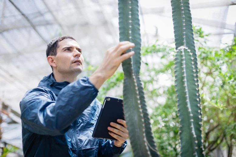 This Familiar Plant Challenges a Long-Held Idea From Charles Darwin About Evolution