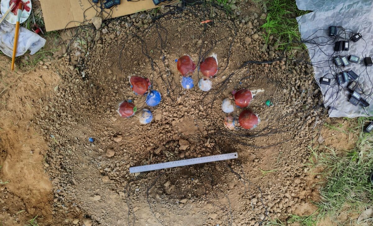 Scientists Built a Full-Scale Dinosaur Nest and Discover Why the Eggs Didn’t Hatch at the Same Time