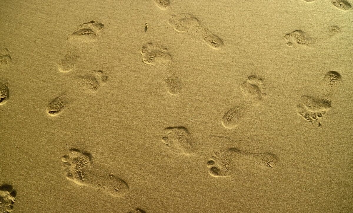 Scientists Discovered 29 Human Footprints Strangely Arranged on a Remote Island in Canada