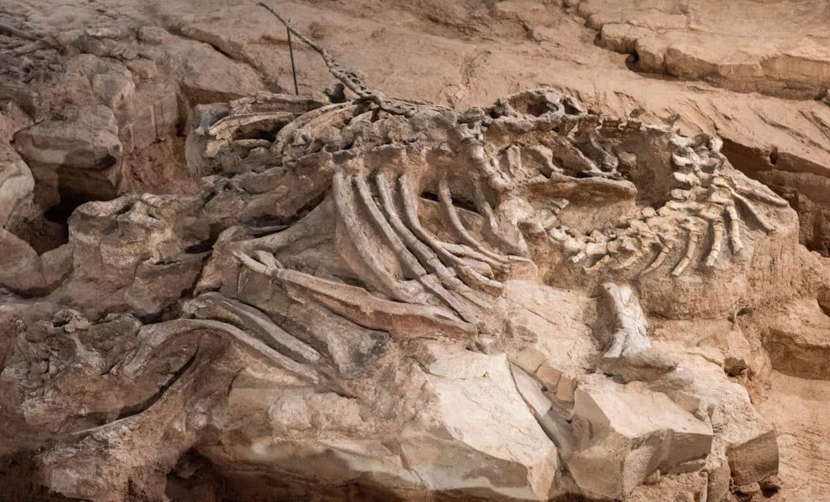 Scientists Discovered This Massive 7,000-Pound Dinosaur Fossil With Skin Still Intact