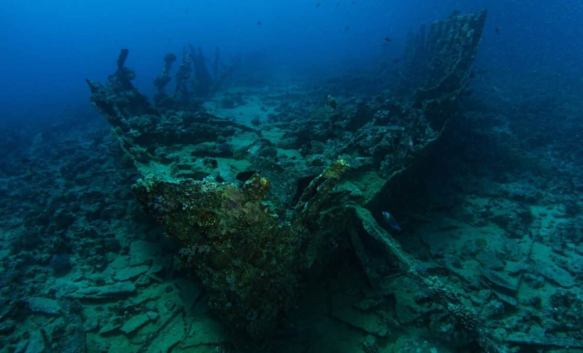 Scientists Found Two 170-Year-Old Bottles of Beer in Shipwreck, Are They Still Good to Drink?