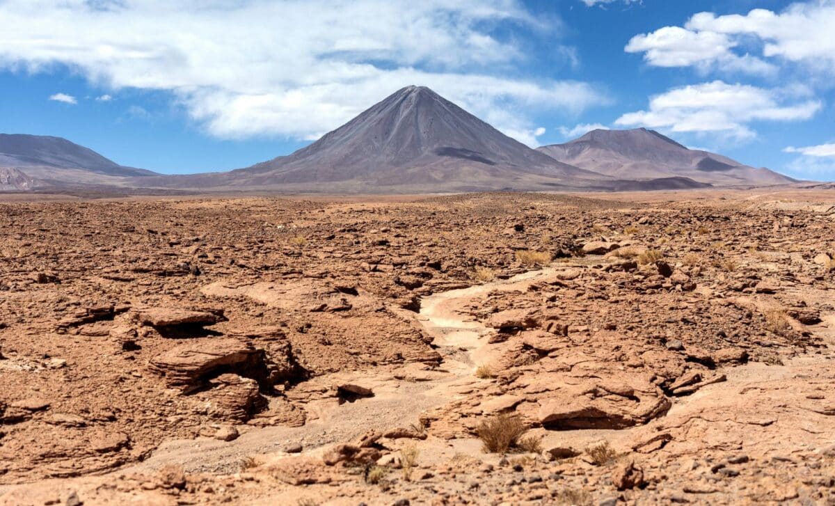 Scientists Found a Hidden “Oasis” Two Meters Below Earth’s Driest Desert