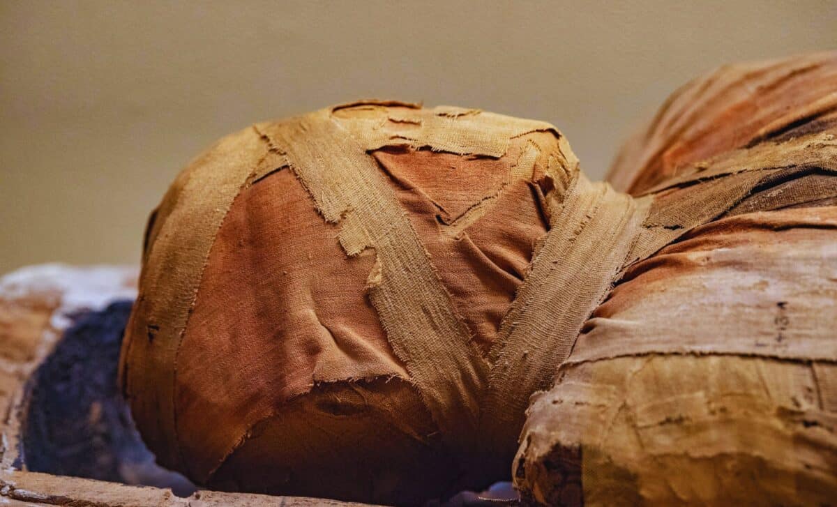 Scientists Have Found A Siberian Mummy Like No Other, It’s Covered in Tattoos!
