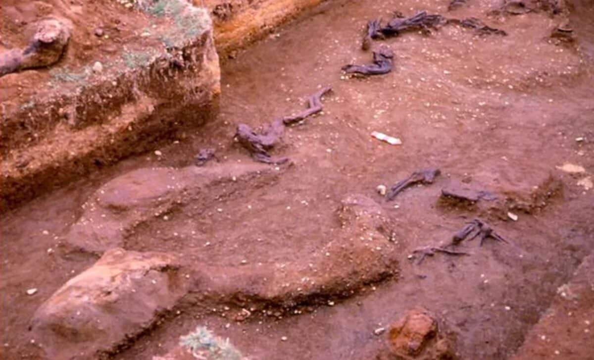 Scientists Say One of the Oldest Archaeological Sites in the Americas May Not Be as Old as We Thought