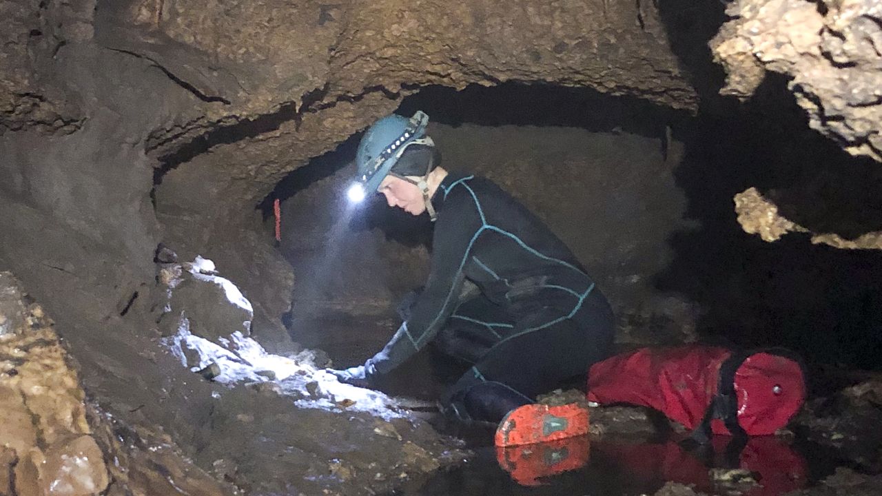 ‘It blew my mind’: Long-lost ice-age ecosystem, including fossils of lion-size armadillo and giant ground sloth, discovered in Texas ‘water cave’