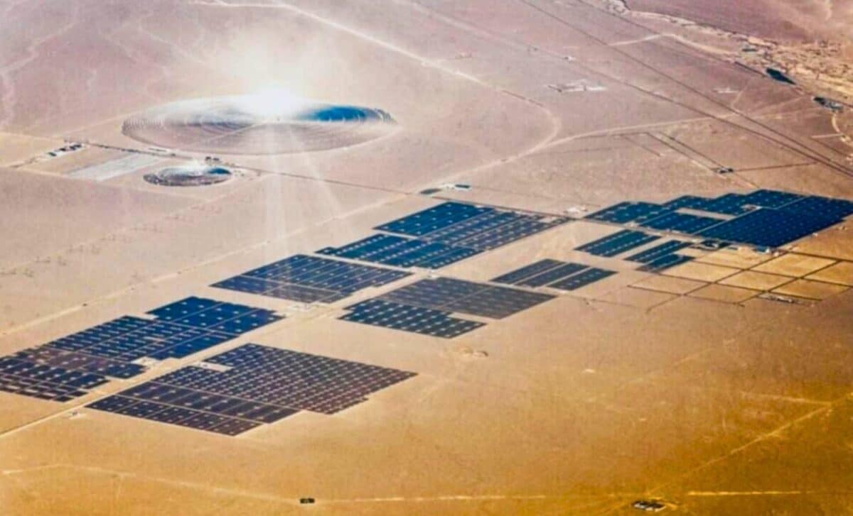China Covered a Massive Desert with Solar Panels for Clean Energy, but the Land Began to Evolve