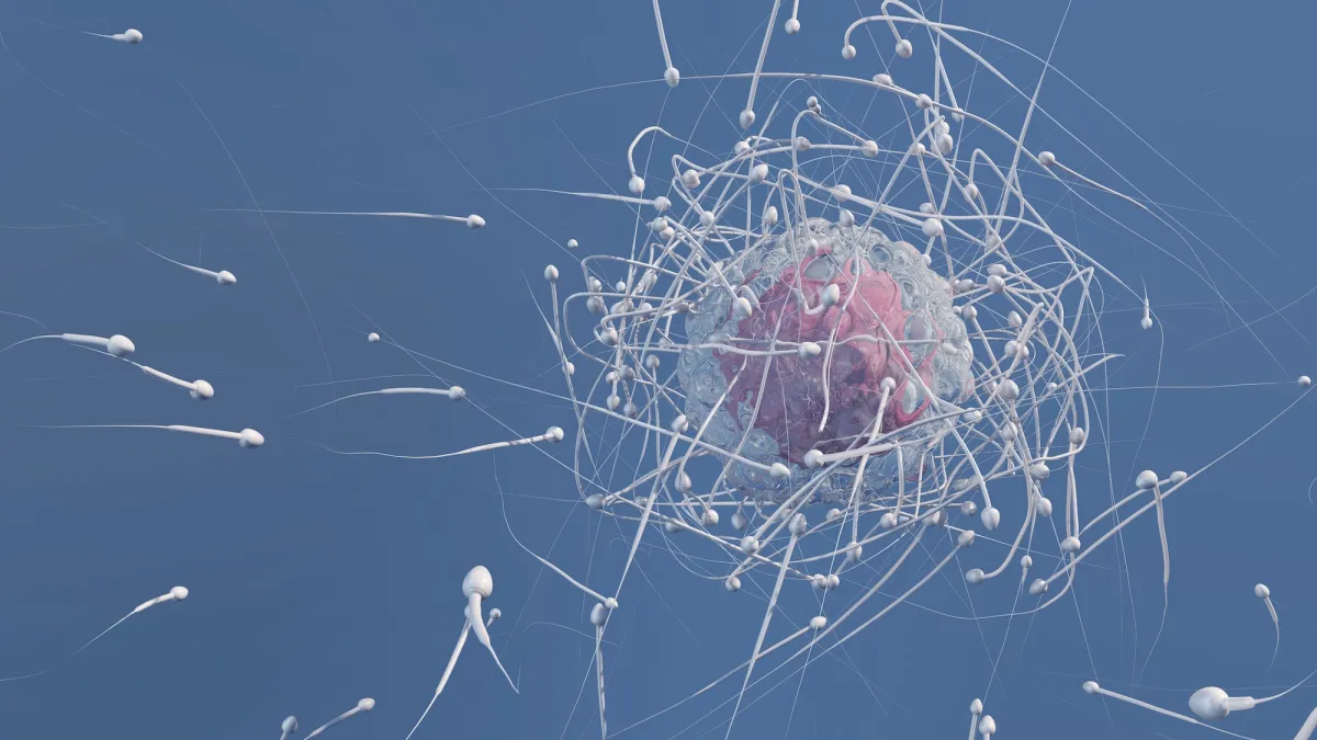 Sperm loses its sense of direction in space