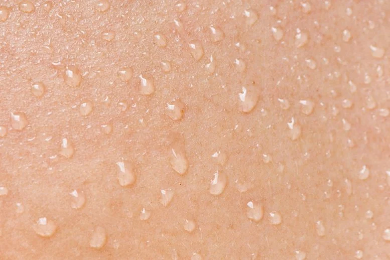 Your Skin Has a Secret Weapon – and It’s Not What You Think