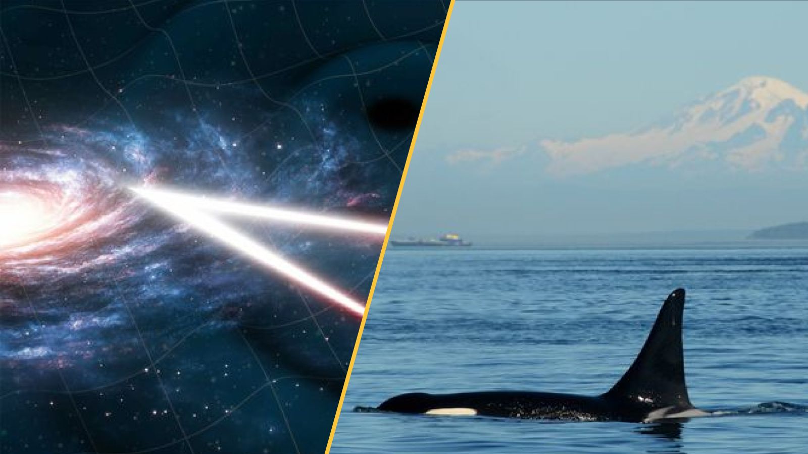 Science news this week: Cannibal orcas in Russia, oracle bones that reveal climate disaster in ancient China, humming black holes and a barefoot volcanologist