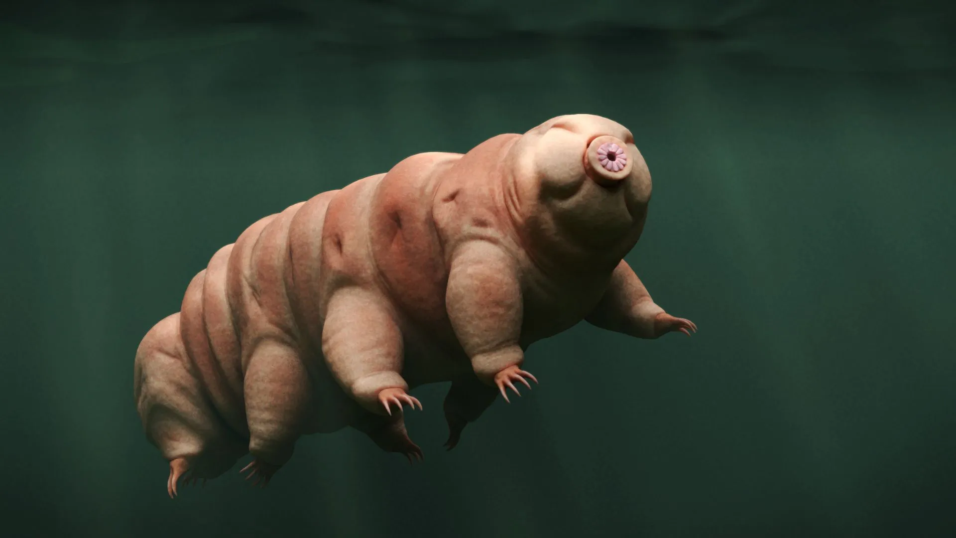 Space-proof tardigrades cannot survive on Martian soil, study finds