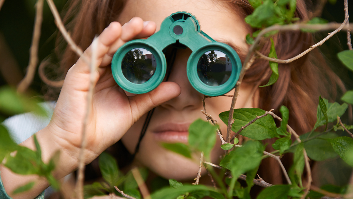 Birdwatching May Help Protect Your Brain From Age-Related Decline : ScienceAlert