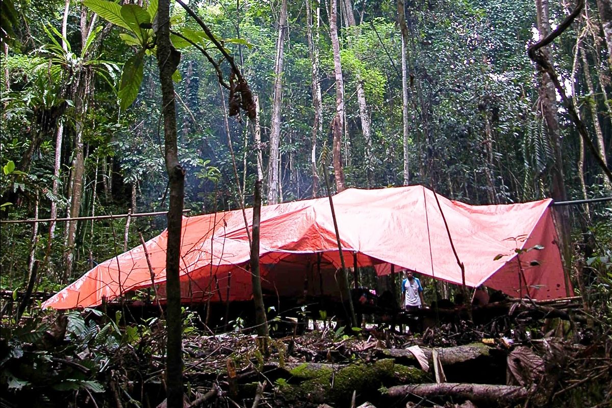 “Exceptional discovery.” Animals thought extinct for 6,000 years found alive in Indonesian rainforest