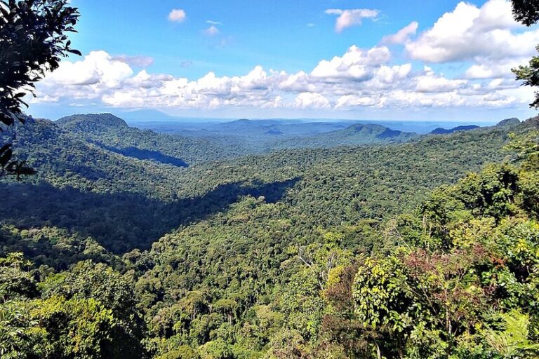 Ecuador’s new ecological corridor connects Andes and Amazon ecosystems