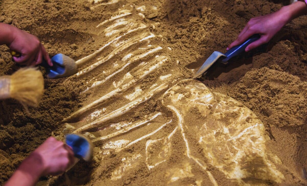 Workers Unearthed a Monstrous 3-Meter-Long Creature Under a Construction Site