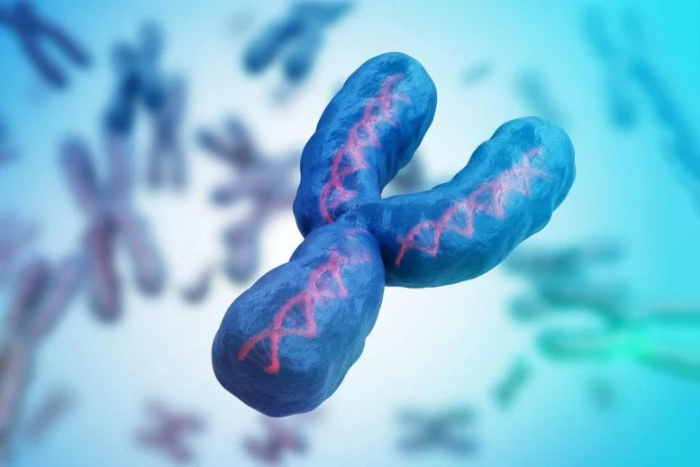 Men Are Losing Their Y Chromosome – and It May Be Deadly