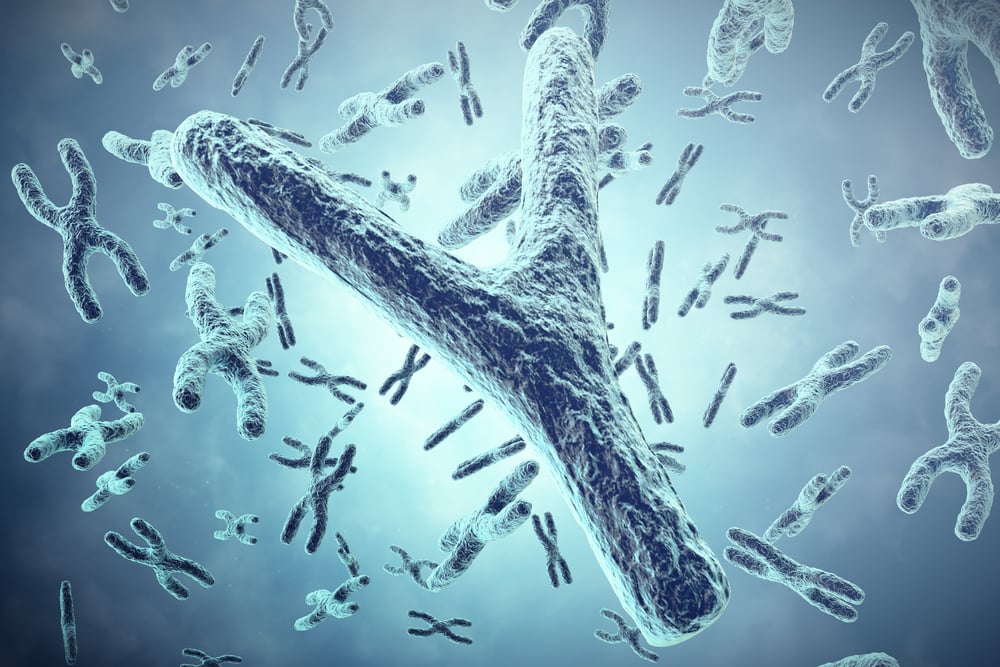 Why Did The Sequence Of The Y Chromosome Remain A Mystery Until Recently? » ScienceABC