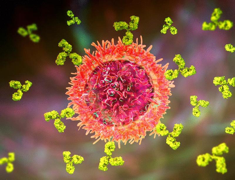 The B cell receptor–mTOR signaling axis restricts the accumulation of lung tissue–resident memory B cells after influenza infection | Science Immunology