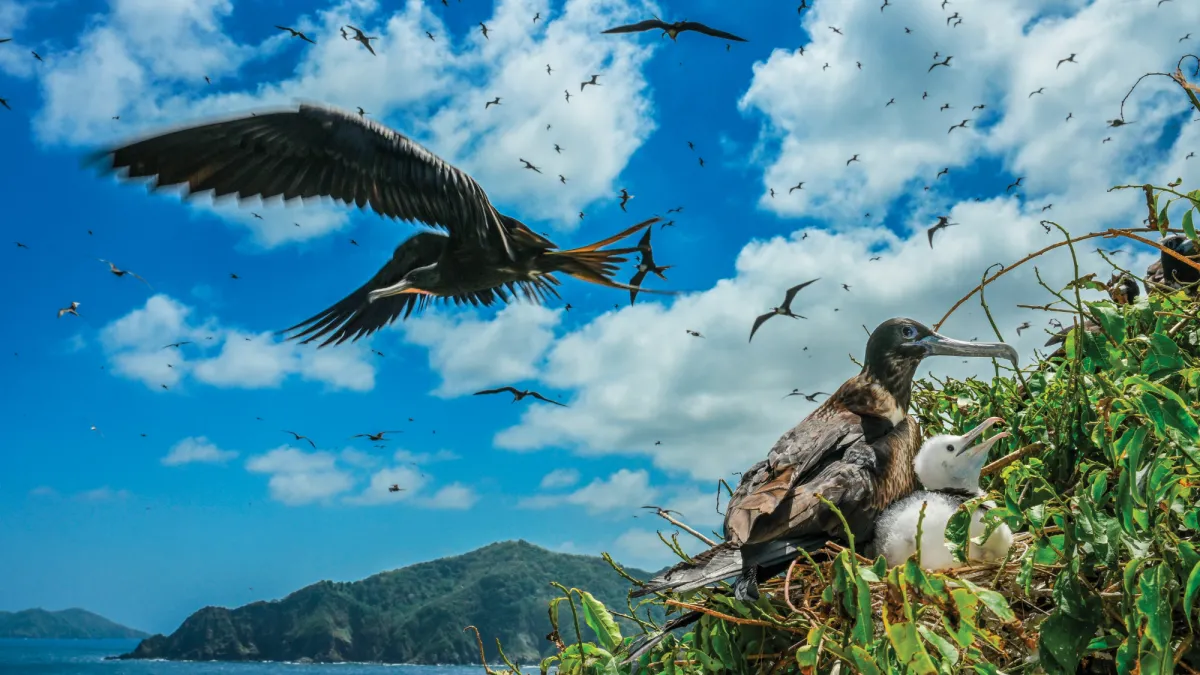 11 wild photos show the Amazon River in its glory