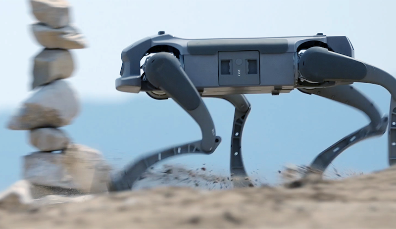 AMC Robotics taps Hive GPU cloud to scale AI development for quadruped security robot