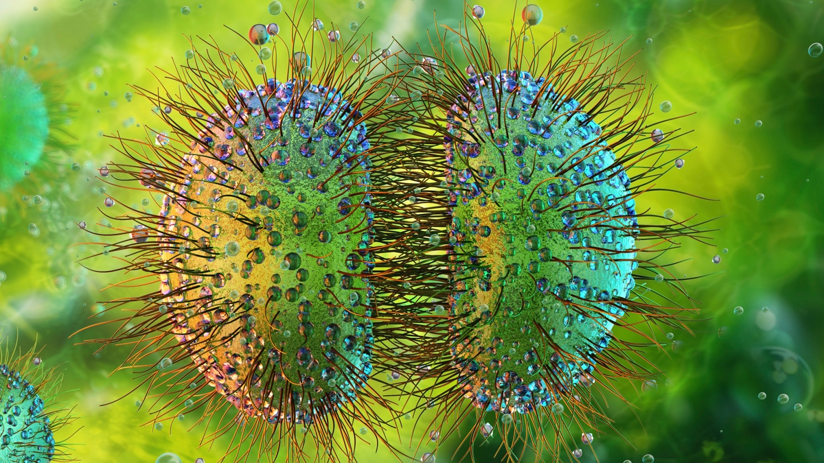 ‘Unprecedented’ Meningitis Outbreak in UK Spreads to 27 Cases : ScienceAlert