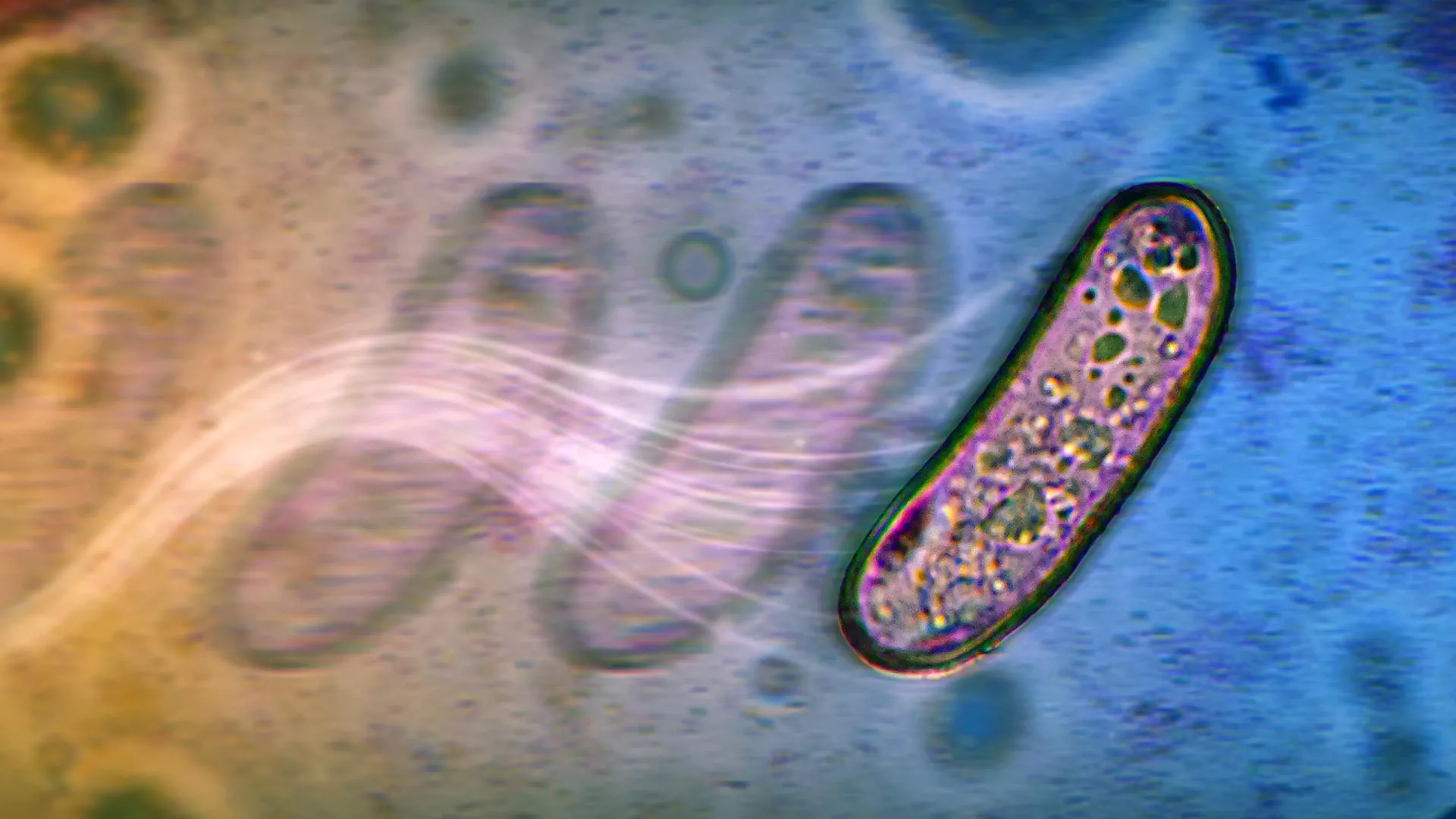 The surprising new ways bacteria spread without propellers